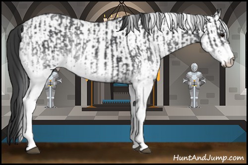 Horse Color:White Spotted Blue Roan Rabicano  and White Spotted Blue Roan Rabicano 