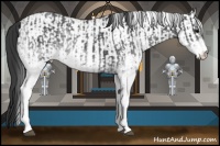 Horse Color:White Spotted Blue Roan Rabicano  and White Spotted Blue Roan Rabicano 