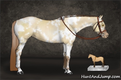 Horse Color:White Spotted Brown Pearl Dun