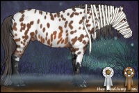 Horse Color:Bay Near Leopard