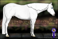 Horse Color:Gray Blue Roan Splash Frame Varnish