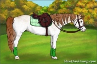 Horse Color:White Spotted Red Dun 