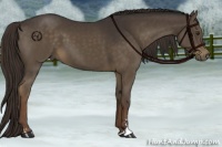 Horse Color:Liver Chestnut Sabino 