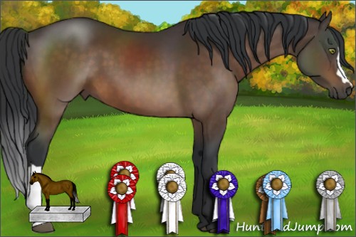 Horse Color:Brown 