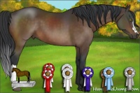 Horse Color:Brown 