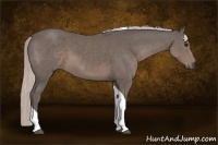 Horse Color:Silver Black Sabino Tobiano