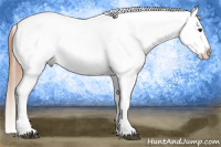 Horse Color:Red Dun Roan Frame Blanket