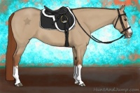 Horse Color:Red Dun Roan Splash Frame Rabicano