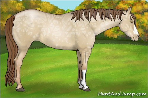 Horse Color:Liver Red Dun Ice Pearl 