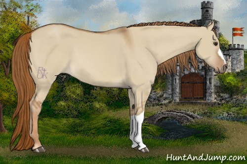 Horse Color:Red Dun 