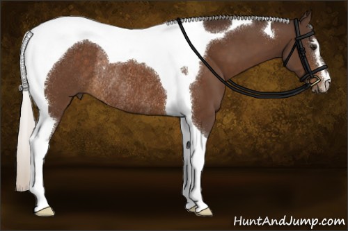Horse Color:Silver Brown Sabino Tobiano Rabicano 
