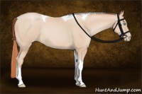 Horse Color:Buckskin Pearl Tobiano Rabicano 