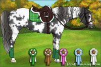 Horse Color:White Spotted Smoky Black Varnish 