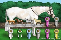 Horse Color:White Spotted Cremello 