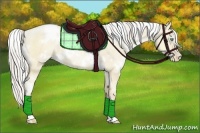 Horse Color:White Spotted Palomino Pearl Dun