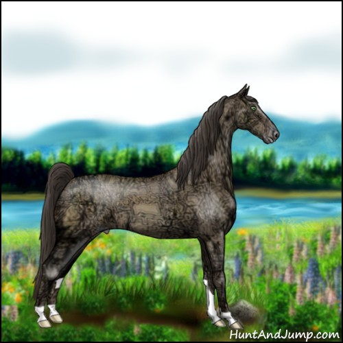 Horse Color:Sable Cream Champagne Ice 