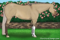 Horse Color:Silver Brown Dun