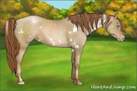 Horse Color:White Spotted Smoky Black Pearl 