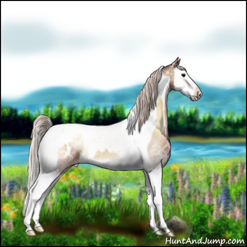 Horse Color:Chocolate Silver Bay Ice Onyx Splash Tobiano Appaloosa 