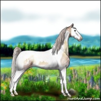 Horse Color:Chocolate Silver Bay Ice Onyx Splash Tobiano Appaloosa 