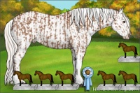Horse Color:Silver Bay  and Silver Bay Appaloosa 