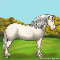 Horse Color:Palomino Roan Pearl  and Palomino Roan Pearl 