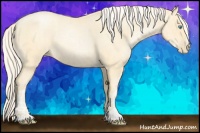 Horse Color:Palomino Roan Pearl  and Palomino Roan Pearl 