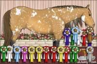 Horse Color:White Spotted Buckskin Appaloosa