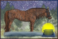 Horse Color:Liver Chestnut Rabicano  and Chestnut Rabicano 