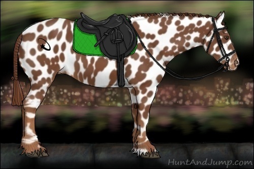 Horse Color:Unknown 