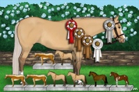 Horse Color:Silver Bay Dun Sabino Rabicano 