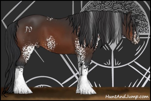 Horse Color:White Spotted Brown 