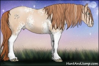 Horse Color:White Spotted Buckskin Pearl 