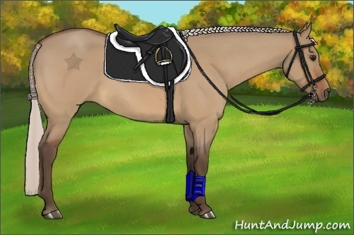 Horse Color:Silver Bay Roan Dun 