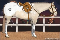 Horse Color:Amber Cream Champagne Snowcap