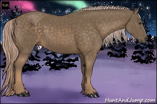 Horse Color:Chocolate Palomino