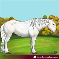 Horse Color:Silver Buckskin Dun Splash Tobiano Frame Varnish