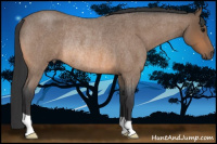 Horse Color:Buckskin Roan Rabicano 