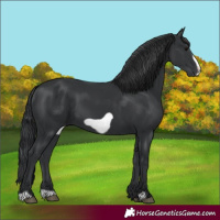 Horse Color:Black Frame 