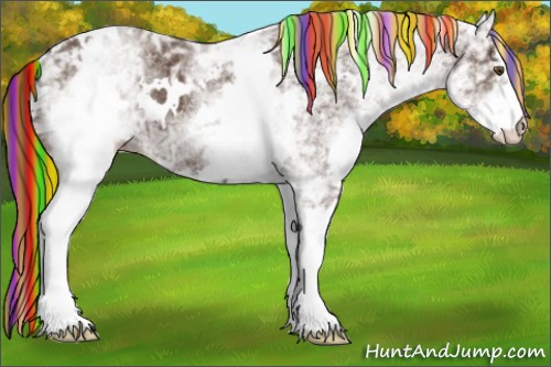 Horse Color:Painted White Spotted Liver Chestnut Ice