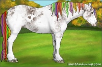 Horse Color:Painted White Spotted Liver Chestnut Ice