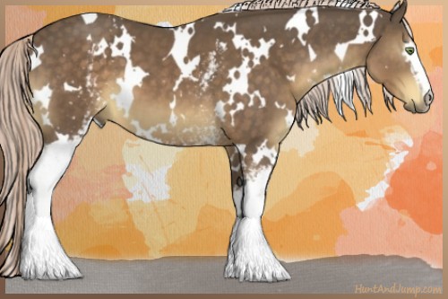 Horse Color:White Spotted Chocolate Palomino