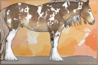 Horse Color:White Spotted Chocolate Palomino