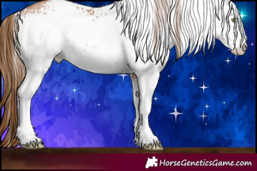Horse Color:White Spotted Brown Pearl Sabino Rabicano