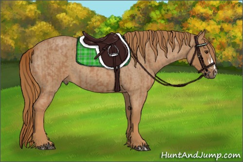 Horse Color:Chestnut  and Red Roan 