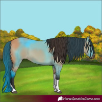 Horse Color:Bay Dun Tobiano 