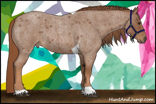 Horse Color:Red Roan Tobiano 