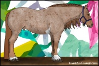 Horse Color:Red Roan Tobiano 
