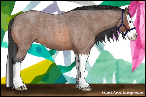 Horse Color:Bay Roan Sabino Splash 