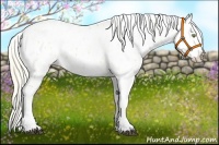 Horse Color:Palomino Dun Leopard  and Palomino Dun Leopard 